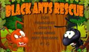 Black Ants Rescue