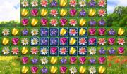I Fiori - Flower Puzzle