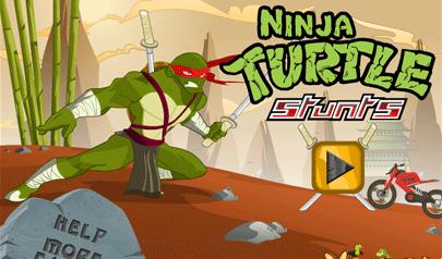 Ninja Turtle Stunts