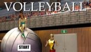 Pallavolo - Volleyball Game